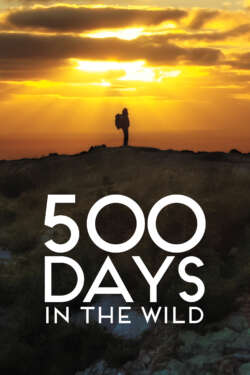 Poster - 500 days in the wild