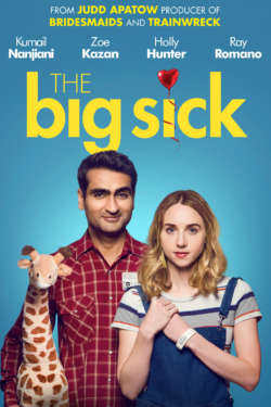 Poster - The big sick